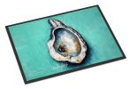NEW Aqua Pearl Oyster Doormat Front Door Mat Indoor Outdoor Rugs for Entryway, Non Slip Washable Low Pile, 18H X 27W