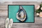 NEW Aqua Pearl Oyster Doormat Front Door Mat Indoor Outdoor Rugs for Entryway, Non Slip Washable Low Pile, 18H X 27W
