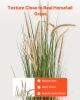 Artificial Grass Plant, 2 Pack 59 inch Horsetail Reed Grass in Pot