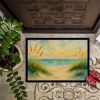 Beach Quiet Morning on the Dunes Doormat Front Door Mat Indoor Outdoor Rugs for Entryway, Non Slip Washable Low Pile, 24H X 36W