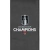 Florida Panthers 2025 Champions Logo Panel
